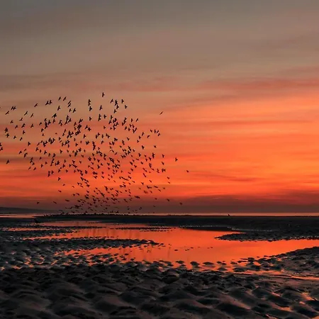 Hotel Hoekje Aan Zee Katwijk aan Zee